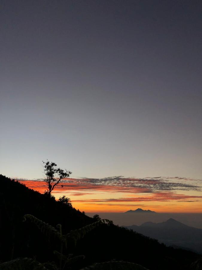 Ticket To The Moon Hammock Camp Villa Selat Exterior foto